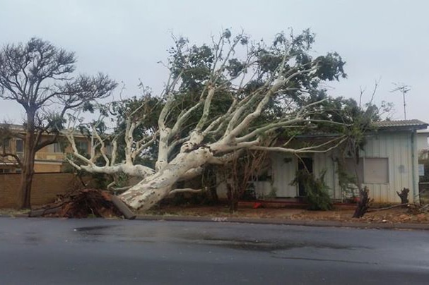 A massive tree has toppled onto a house in Carnarvon