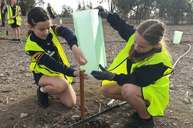 Two young girls wearing hi vis vests putting a tree guard over a tree they have just planted.