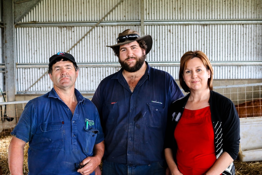 Three dairy farmers, Michelle Hamilton, Graeme Hamilton and their son Craig