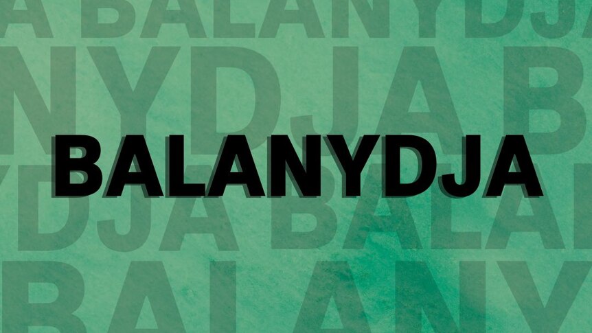 The word 'balanydja' is written in bold black text with a green background. 