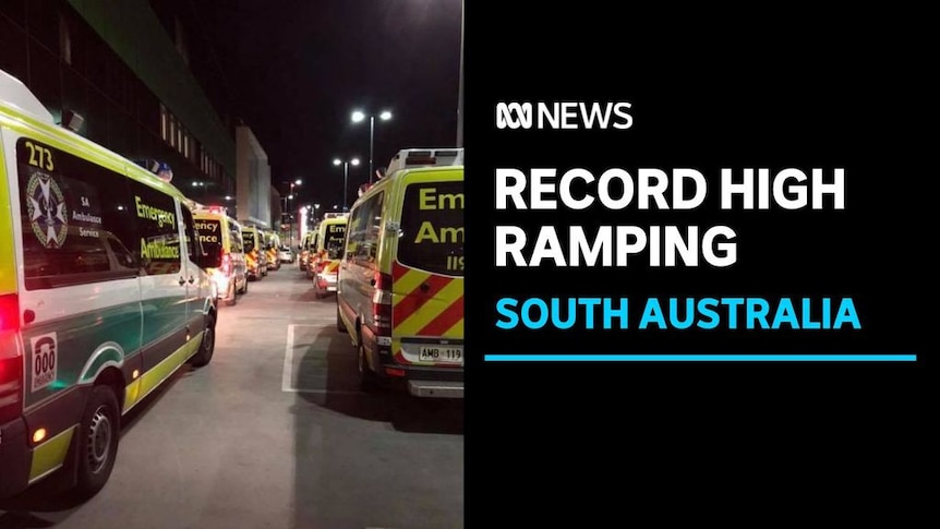 Record High Ramping, South Australia: Ambulances line street at night along road. 