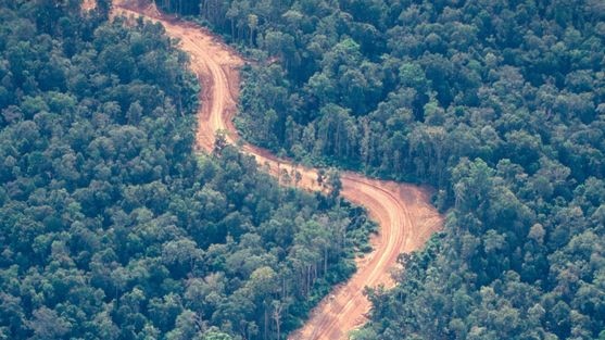 Undated aerial photo showing a logging road in areas undergoing deforestation in PNG.