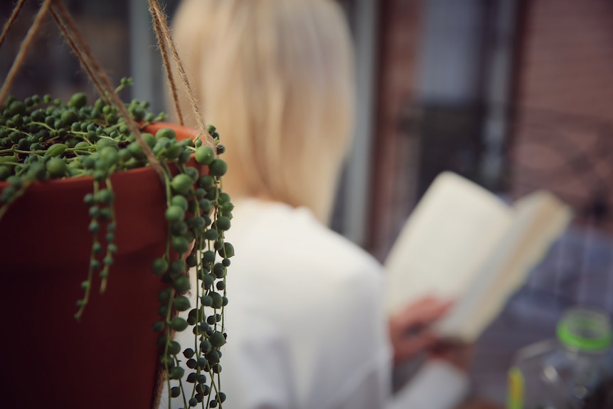 A blurred image from behind a woman reading a book with a hanging basket plant in focus in the foreground. 