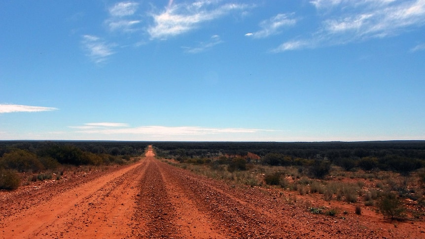 A red dirt desert road stretches to the horizon with low scrub along the side of the road.