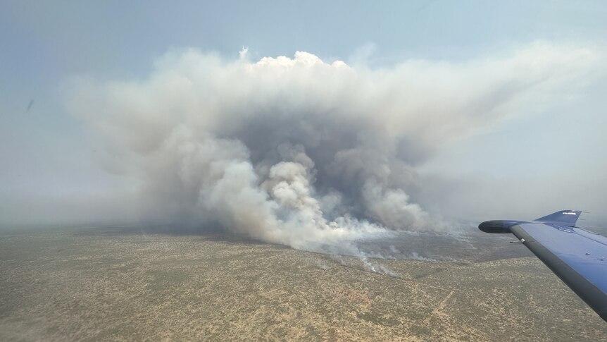 A huge plume of smoke emanating from a raging fire in the outback, as seen from a plane.