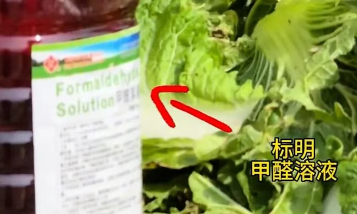China investigates vegetables dipped in formaldehyde