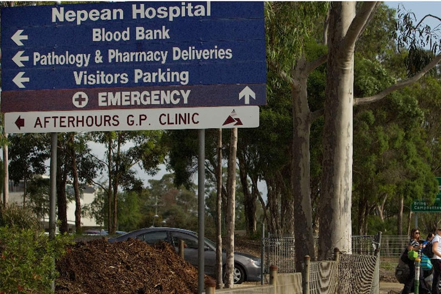 Nepean Hospital staff responded calmly during the shooting of a police officer and security guard, on Wednesday 13 January 2016.