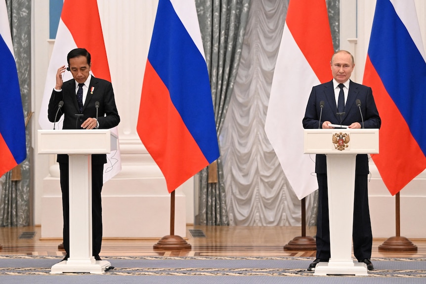 widodo meets putin