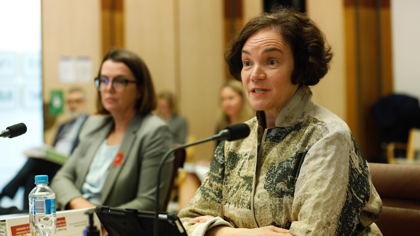 Kathyrn Campbell speaks at a Senate committee hearing