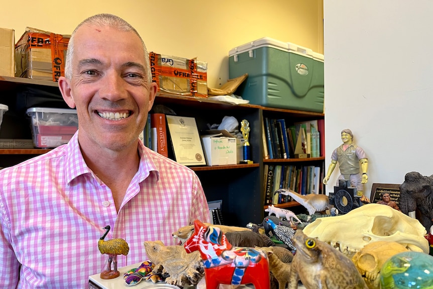 A man stands in an office with figurines of animals