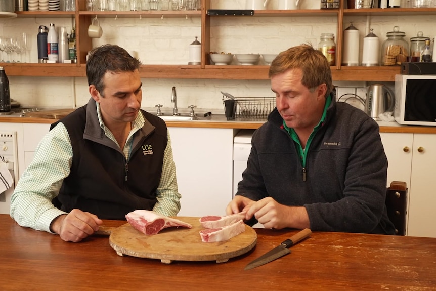 Photo of two men looking at beef