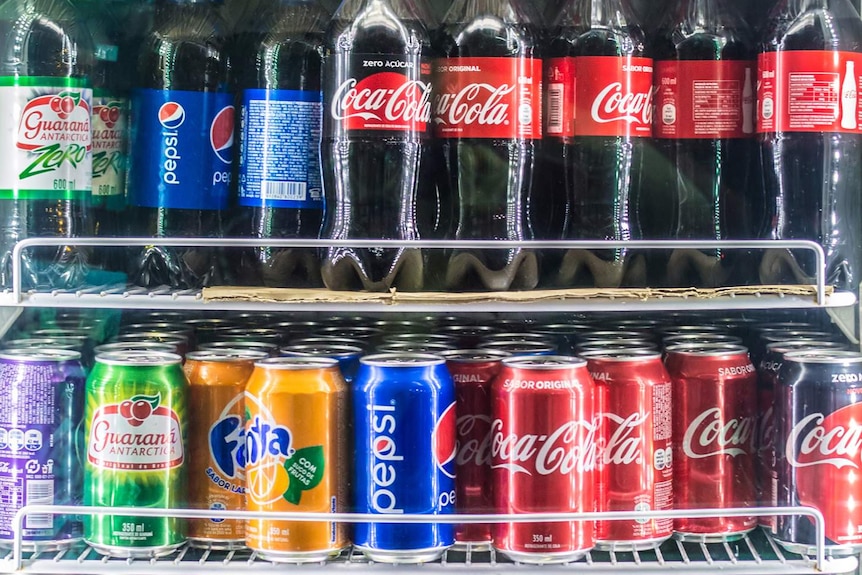 A commercial fridge filled with Coca Cola and other soft drinks.