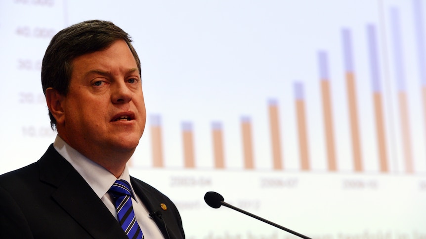 Mr Nicholls says the credit rating downgrade shows the former Labor government's financial management was appalling.