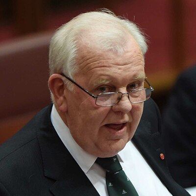 Labor Senator Joe Bullock delivers his maiden speech in the Senate chamber at Parliament House in Canberra.