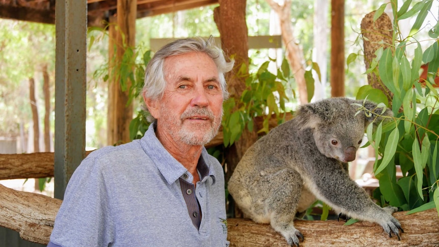 Elderly man wearing a blue shirt, standing in an enclosure, next to Mallee the koala on a tree branch.