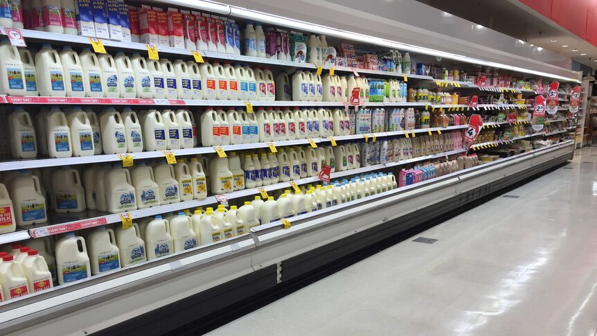 Milk in the supermarket.