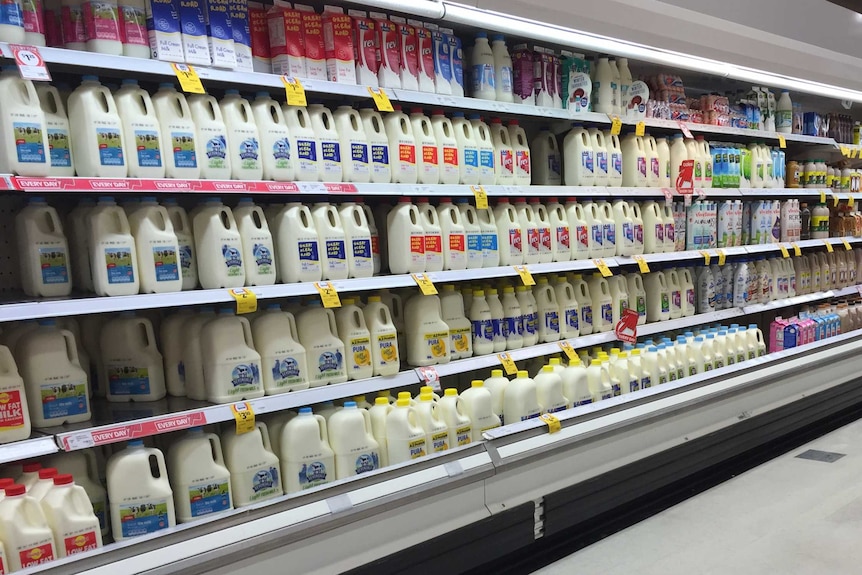 Milk in the supermarket.