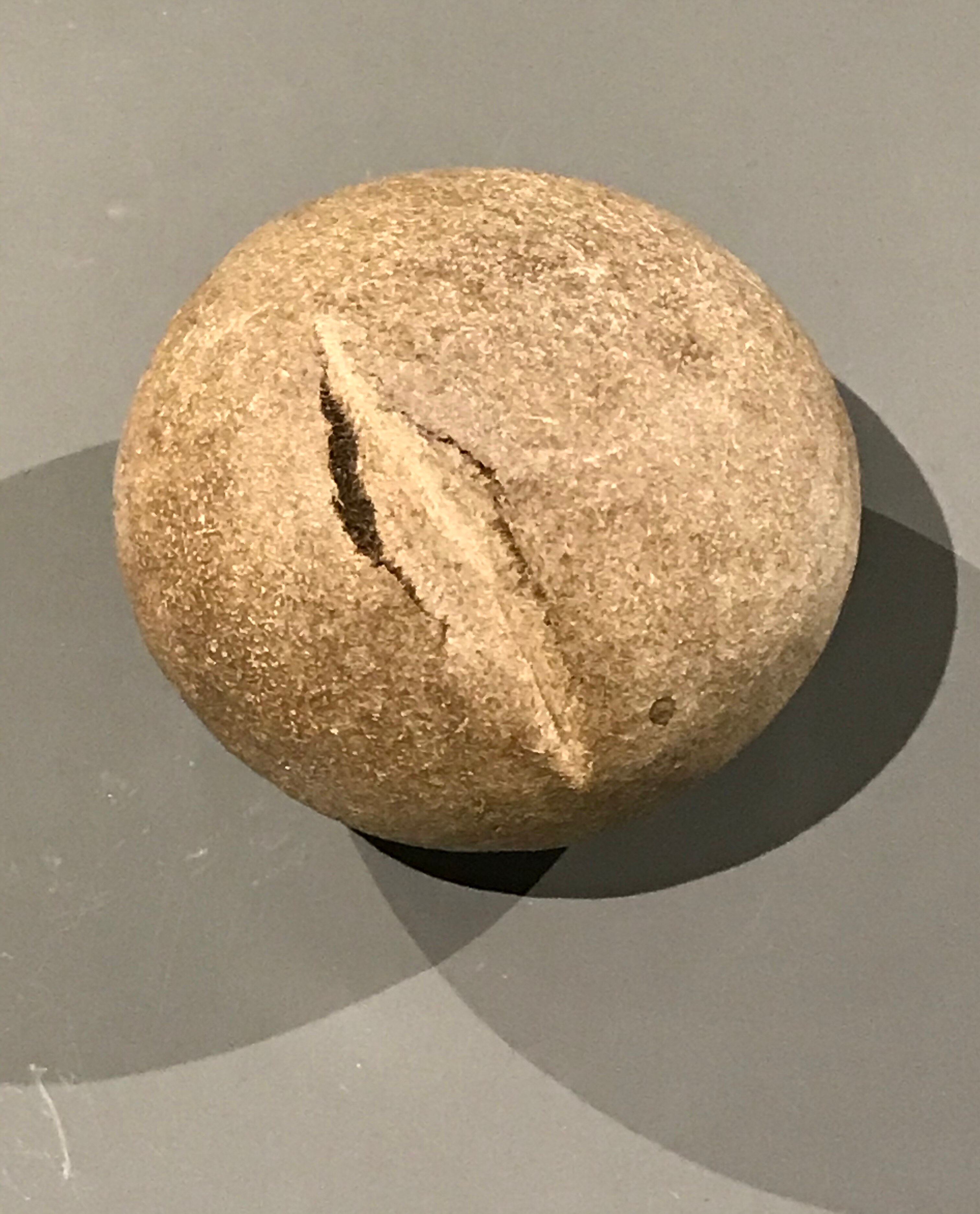 What looks like a loaf of sourdough bread is actually a crocodile hairball.