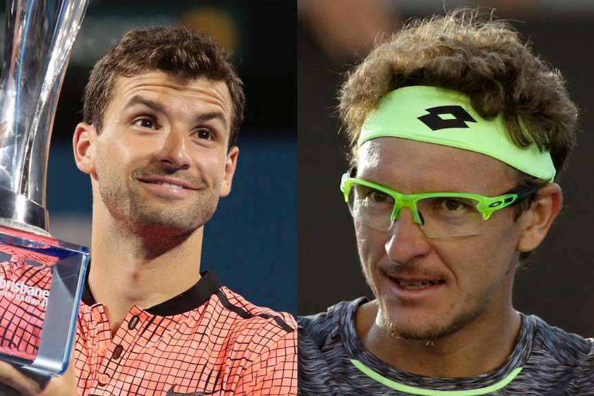 Composite of Grigor Dimitrov and Denis Istomin