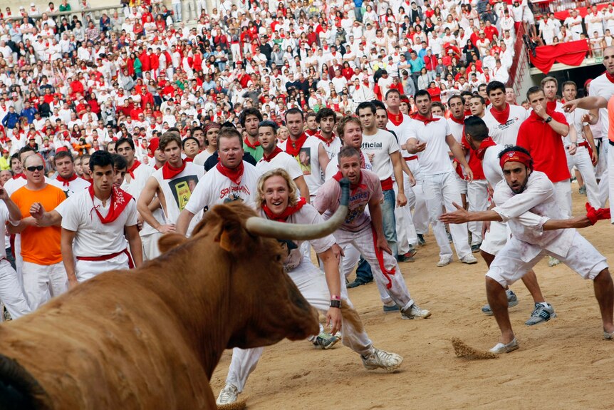 Revellers taunt a fighting bull in the Plaza de Toros in Pamplona