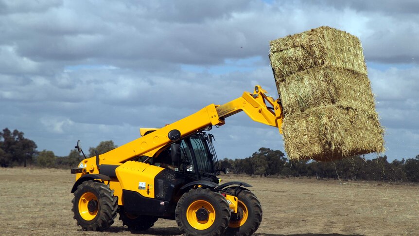 A yellow forklift holding up a bale of hay.