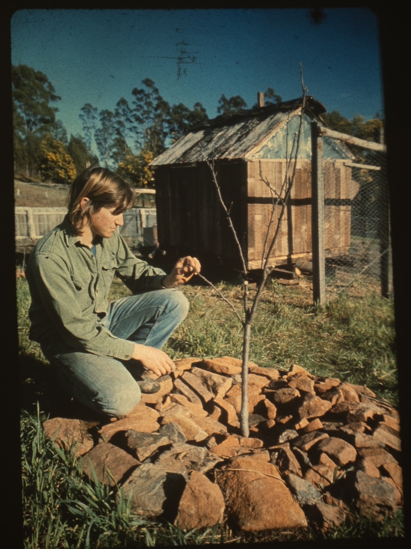 The rise of permaculture in Australia traces back to the world's last oil crisis