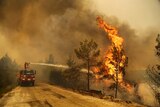 A firefighter extinguishes a forest fire near the town of Manavgat