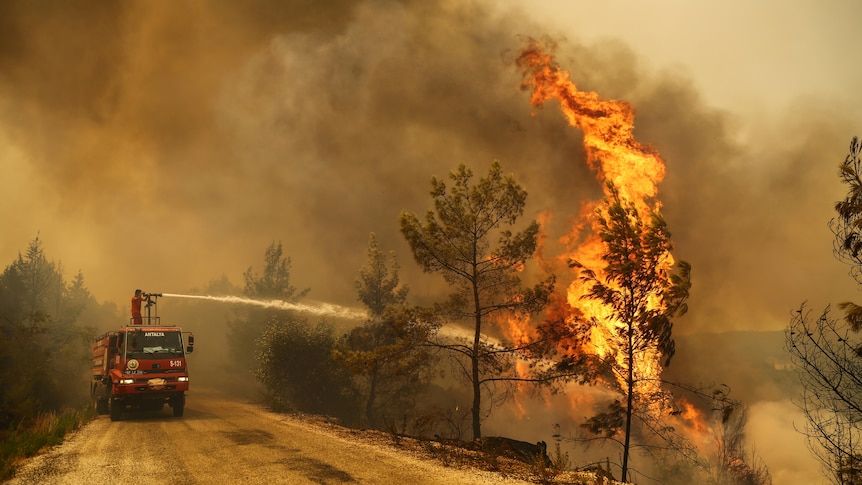 A firefighter extinguishes a forest fire near the town of Manavgat