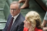 Anthony Albanese looks at Clare O'Neil during question time