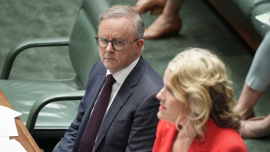 Anthony Albanese looks at Clare O'Neil during question time