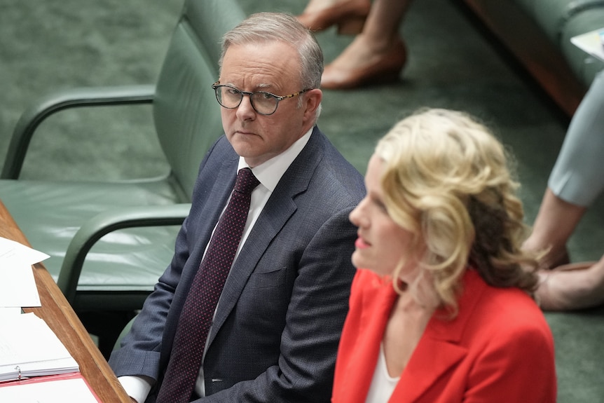Anthony Albanese looks at Clare O'Neil during question time