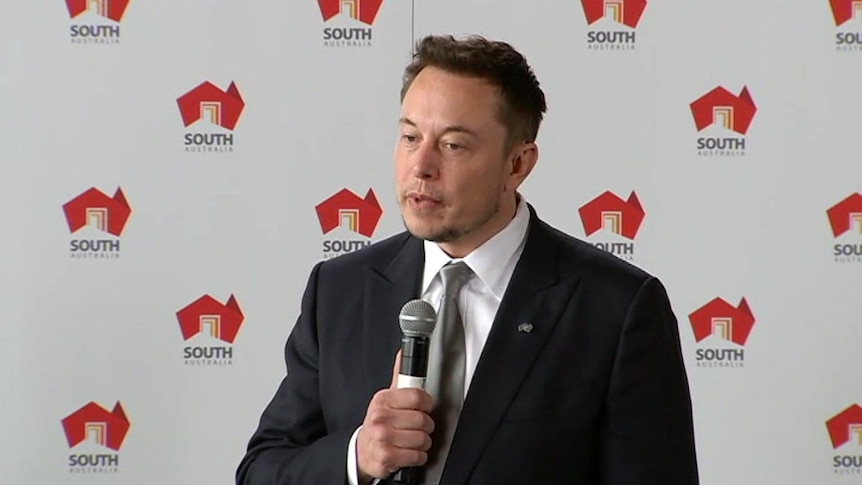 Elon Musk says the battery system will be "three times more powerful" than any system on earth