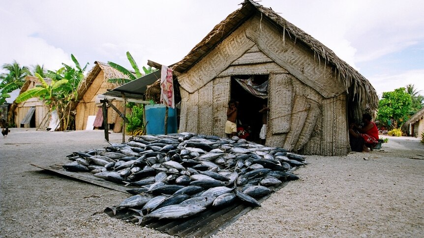 Fish sitting out the front of a house on Takuu atoll, Papua New Guinea