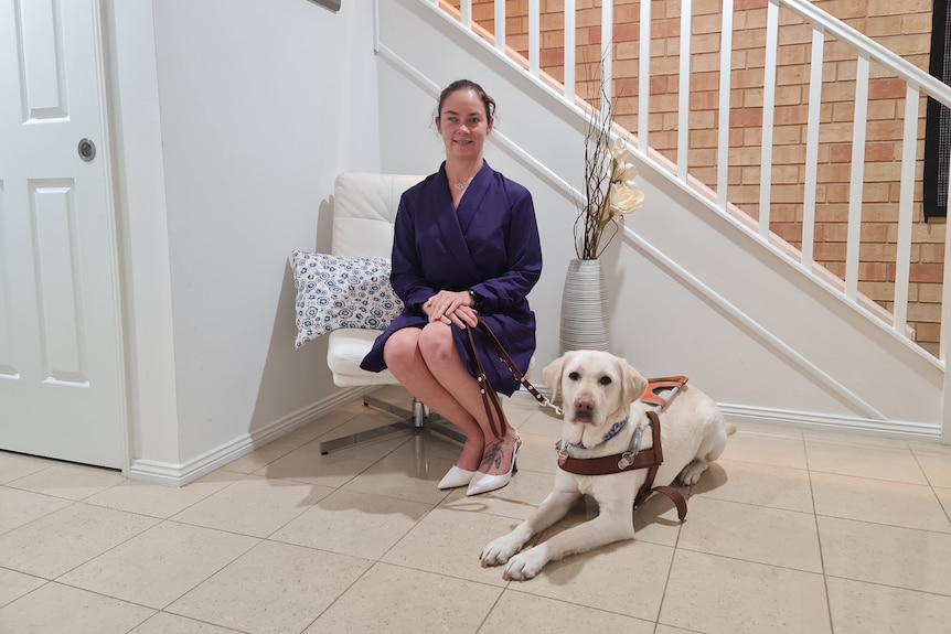 A woman in a purple dress sits on a white chair next to a labrador in a guide dog harness.