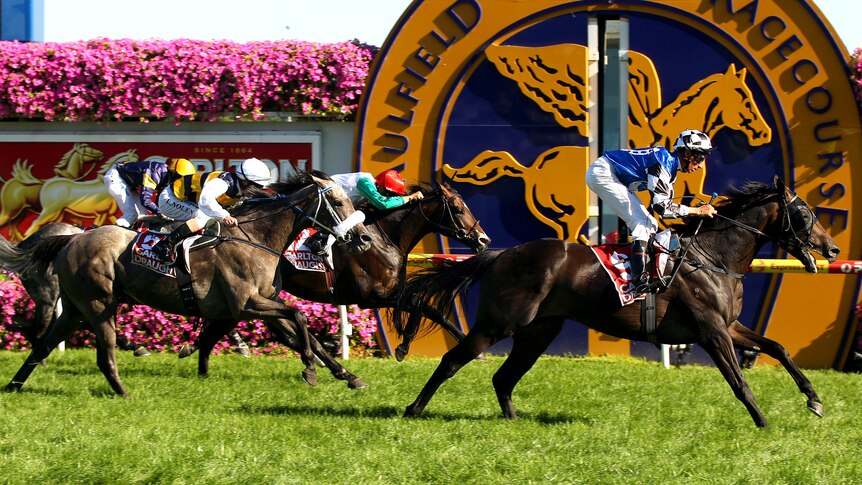 Lucas Cranach wins the Peter Young Stakes