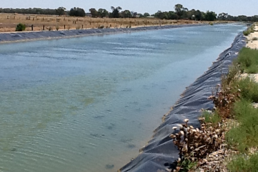 An irrigation channel, flowing with water, in farmland.