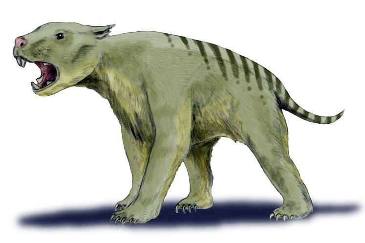 An illustration of a Thylacoleo carnifex, which looks like a cross between a bear and big cat, with stripes on its back.