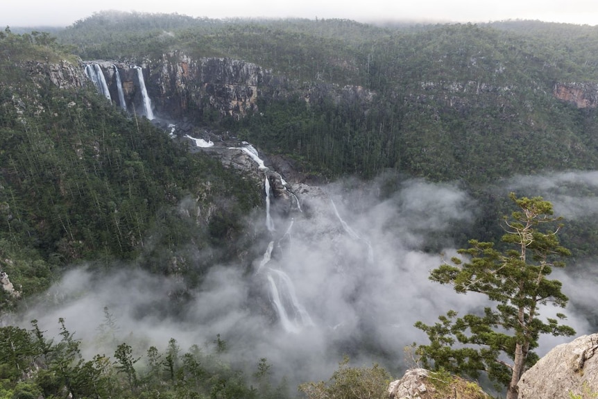 A waterfall in bushland