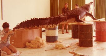 An archival photo of men working on a taxidermy crocodile propped up on oil drums.
