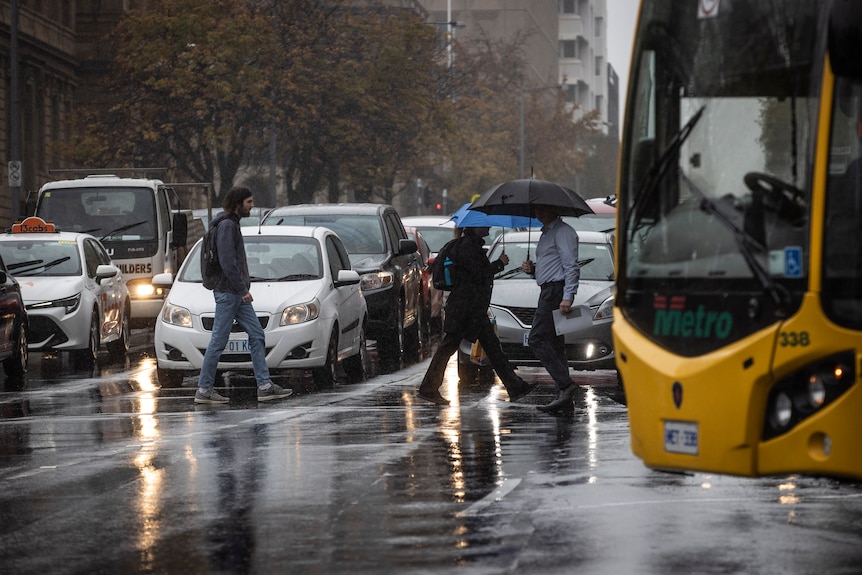 pedestrians walking with umbrellas on a rainy day in Macquarie Street, Hobart ,Tasmania