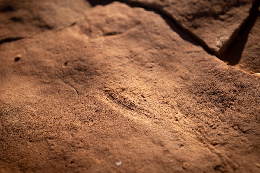 The imprint of a fossil in rock.