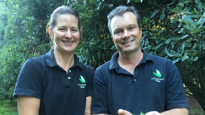 Katherine and Nic Emery from Stillwaters Farm Macadamias