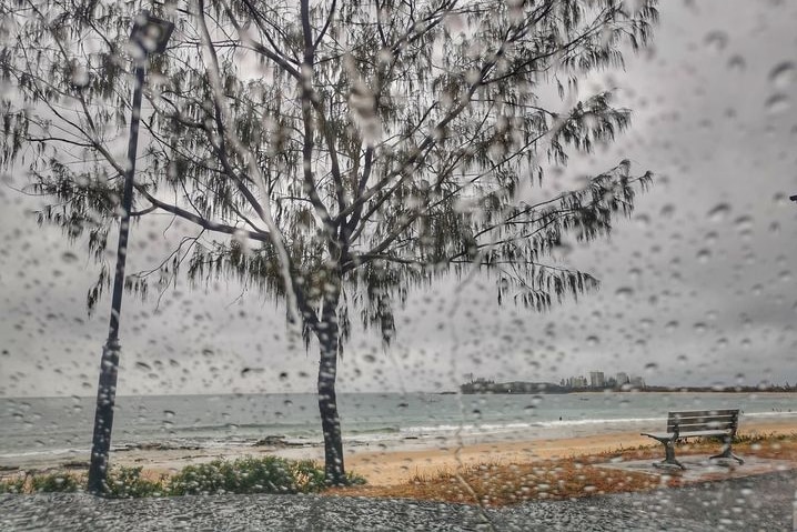 Raindrops on the camera lens with a tree and beach in background.