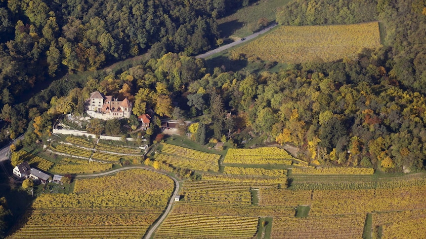 An aerial view of late autumn colours in the plan of alsace