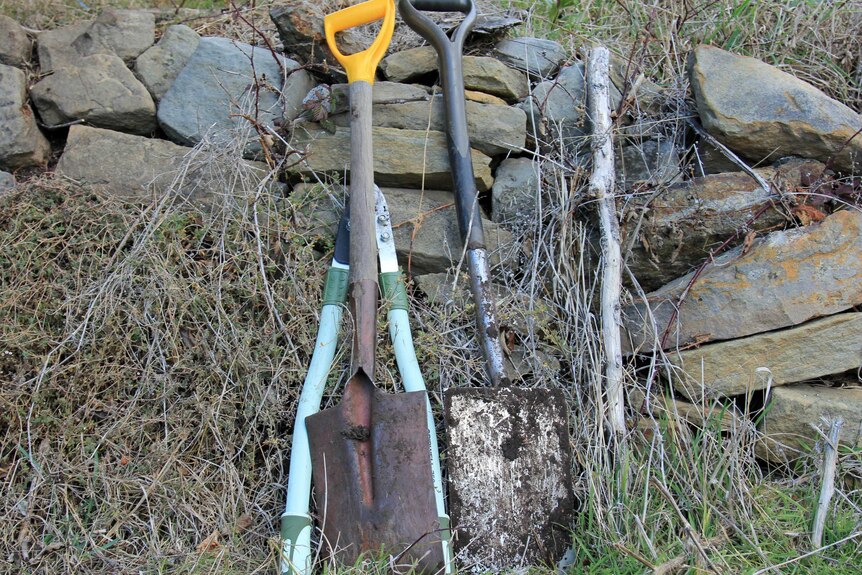 Shovels leaning against a garden wall