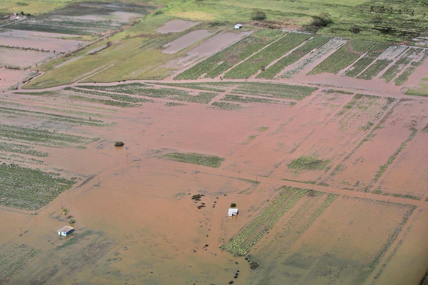 An aerial photograph of brown flood water filling a field.