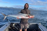 Luke standing in his boat holding a large mackerel fish. 