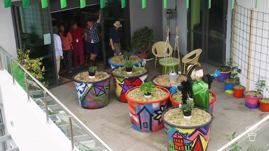 Large colourful pots filled with plants in high-rise courtyard garden