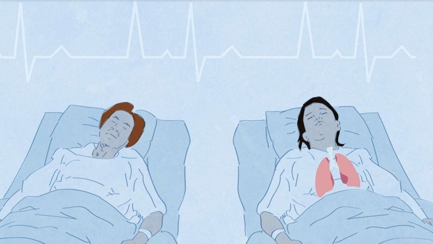 An illustration shows two women lying in hospital beds — the donor and recipient of a lung transplant.