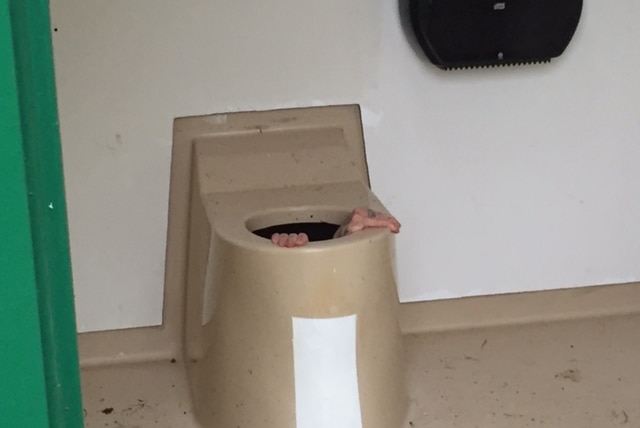 A man stuck in a public toilet in the city of Drammen, Norway.